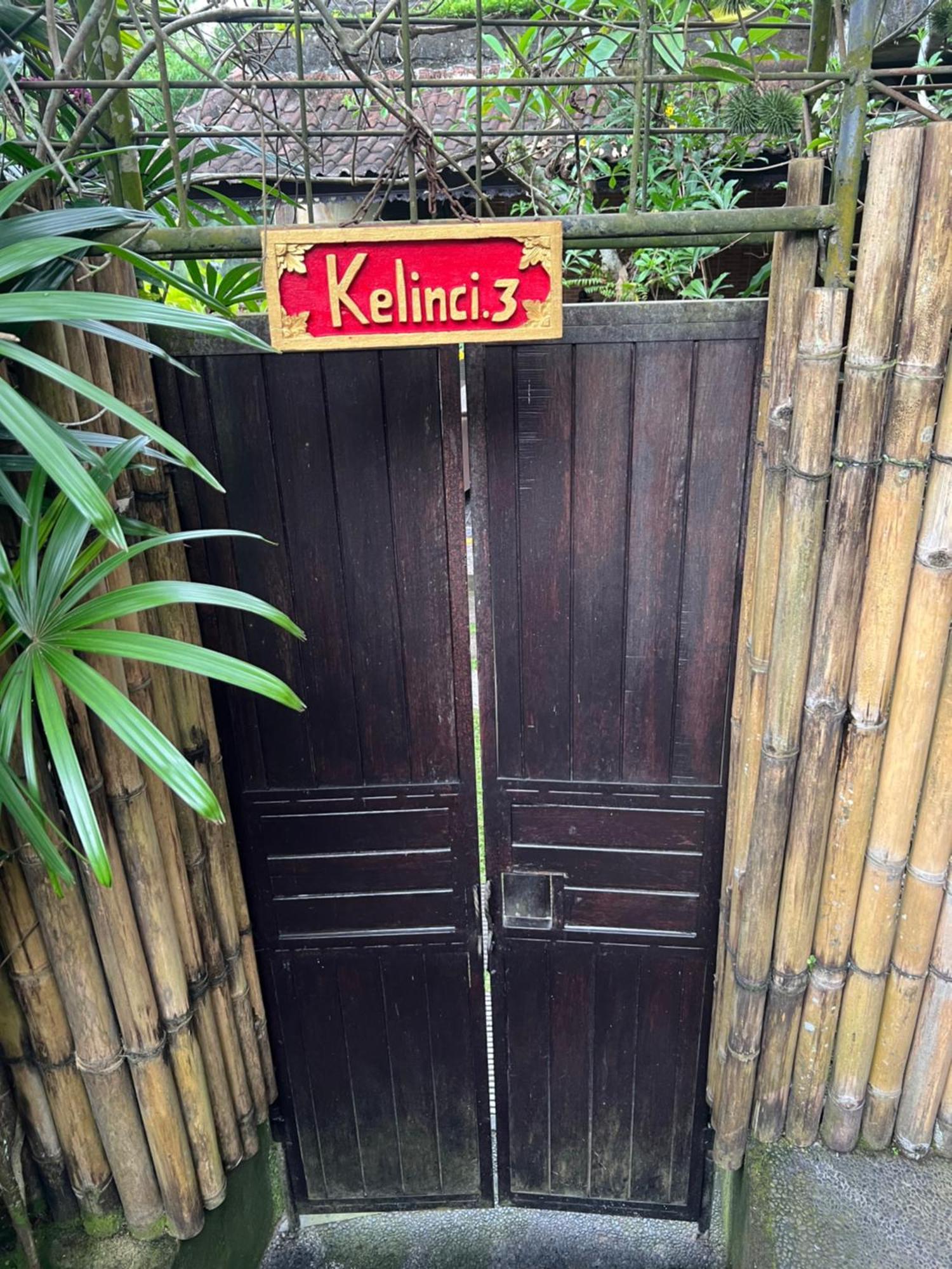 Rumah Kelinci Убуд Екстер'єр фото
